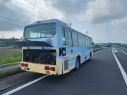アミールの画像