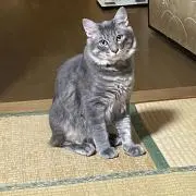 なおの画像