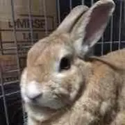 鉄クズ★即購入禁止！必須プロフィール確認