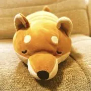 たろの画像