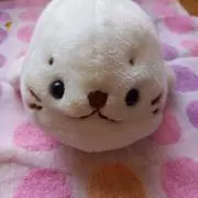 しずくの画像