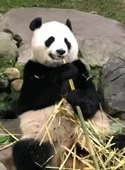kazuの画像