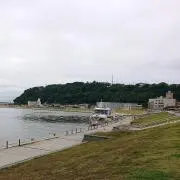 大規模断捨離☆倉庫整理☆コレクション整理の画像