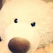 みぃぃの画像