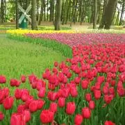 みぃの画像