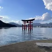 こーへいの画像