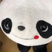 パンちゃん