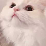 mmm___.