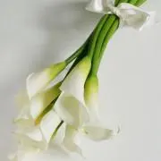 2840grの画像