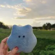 さゆ