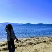 りんの画像