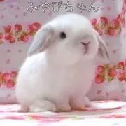 みやびちゃん