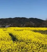 kbの画像
