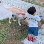 くまきゅんの画像