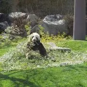 たくろう
