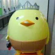 しまこの画像