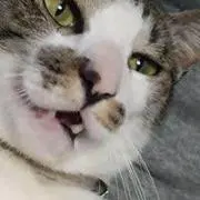みん