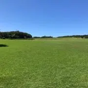 kawaの画像
