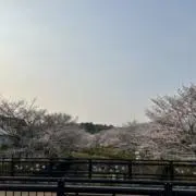 ゆう