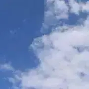 caの画像