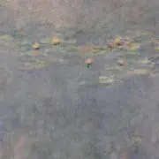 wnwの画像