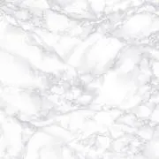 Rの画像