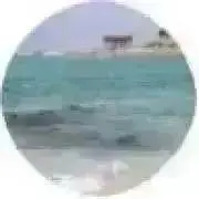 f プロフ必読の画像