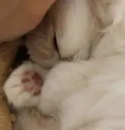 あも＊。