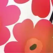NICOの画像