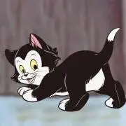 ミニちゃんの画像
