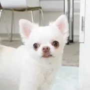 優