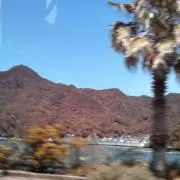 *R‥‥.の画像