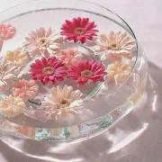 ☆の画像