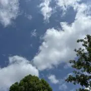 ももっちの画像