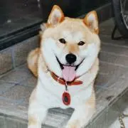 まつこの画像