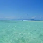 Tomoの画像
