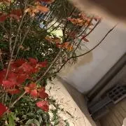 ややの画像