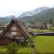 ころたん