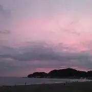 kikiの画像