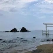 ぺんちゃんの画像