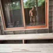 Verticalの画像