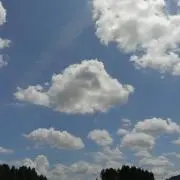 半分碧いの画像