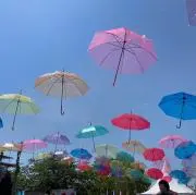 ちびすけ21〈断捨離中〉の画像