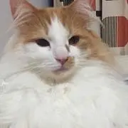 にゅーでい