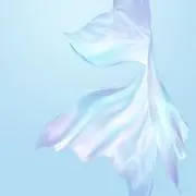 Lin