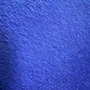 くーの画像