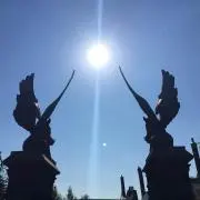 ぴっとん