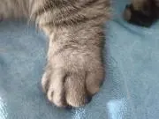 Kの画像