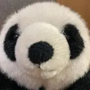 junepeeyの画像