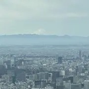 蒼　※プロフ必読お願い致しますの画像